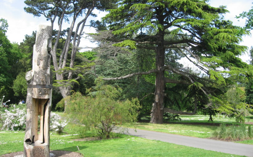 Botanic Garden Dublin