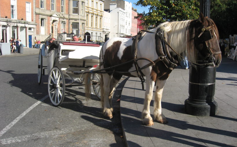 Nahverkehr Dublin