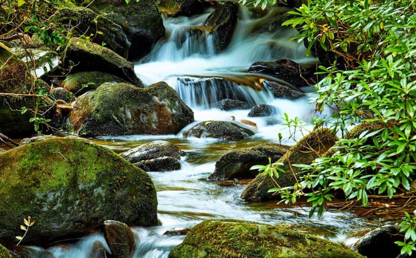 Irlands Nationalparks - Killarney